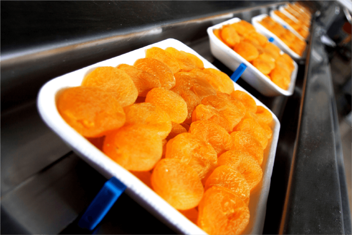 Food Processing In India